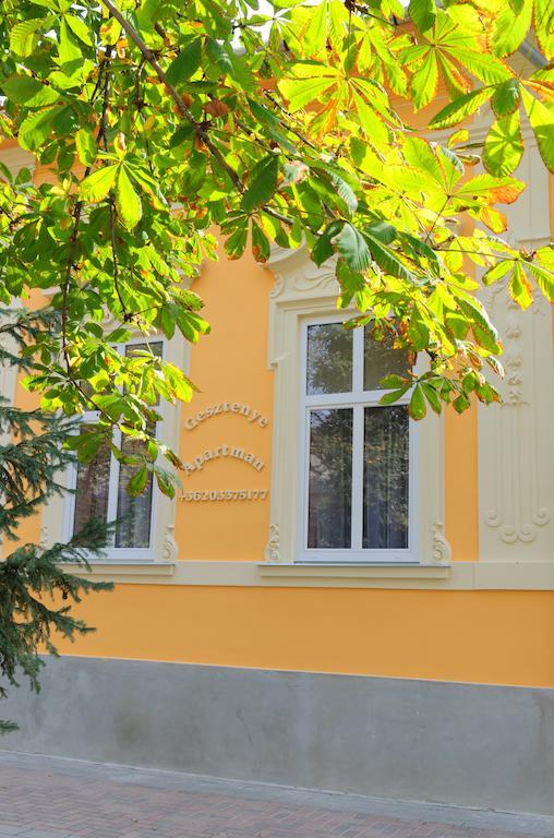 Gesztenye Apartman Mako Bagian luar foto